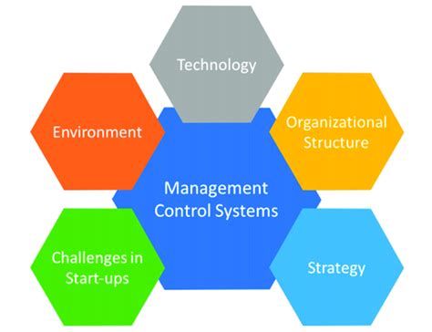Image result for Management Control Systems Examples India