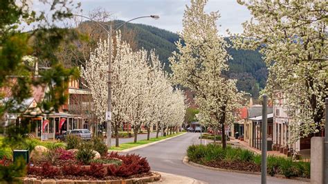 Bright Memory Infinite Sniper に対する画像結果