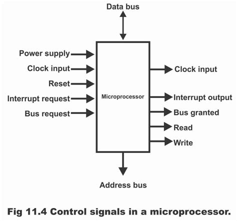Image result for Elements of Microprocessor