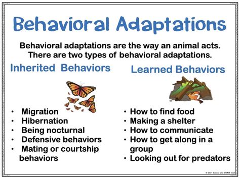 Image result for Behavioral Adaptation Examples