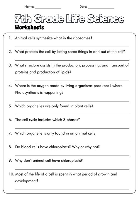 Image result for 7th Grade Cell Structure Worksheet