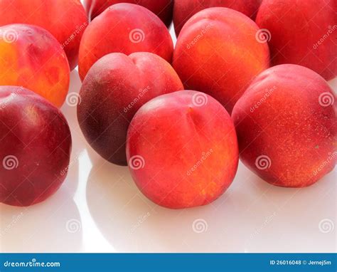 Image result for Nectaries Photo