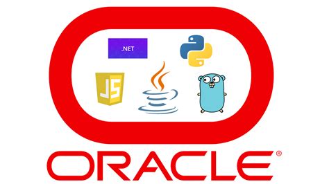 Image result for Oracle Java 17 Logo