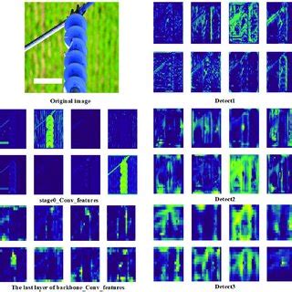 Image result for Feature Map Visualization Deep Learning