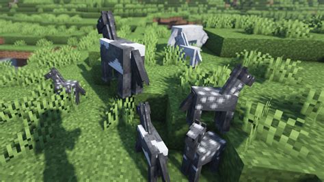 Image result for Minecraft Version Edition Java