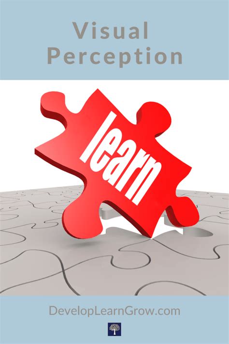 Résultat d’images pour Visual Perception Activities