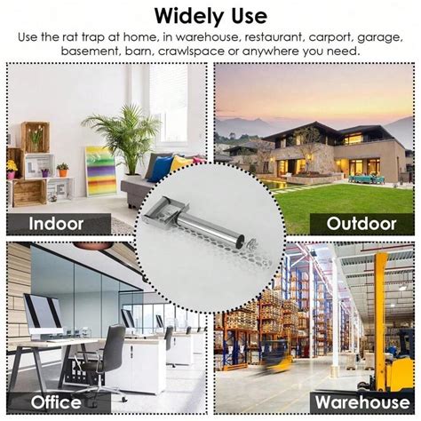 Image result for Roll Mouse Trap