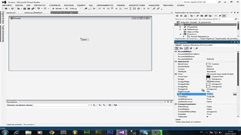 Image result for Visual Studio C# Splash Screen