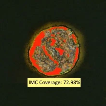 Image result for SimVision IMC View Coverage Bins