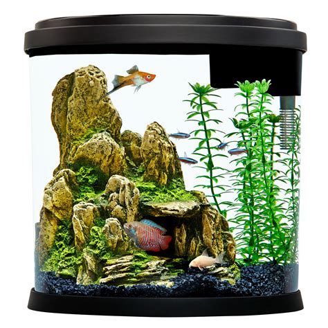 PetSmart 125 Gallon Aquarium に対する画像結果