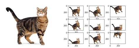 Image result for Data Augmentation Icon in Machine Learning