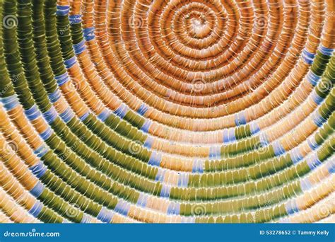 Toradh íomhá ar Colorful Circular Pattern