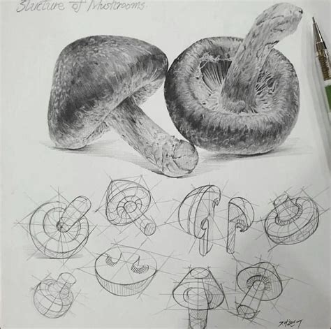 Image result for Draw Things Tutorial Realistic