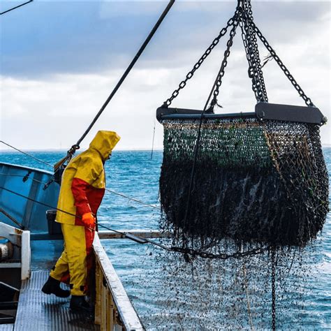 Line Array Winch に対する画像結果