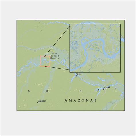 Afbeeldingsresultaten voor ArcGIS Pro Inset Map