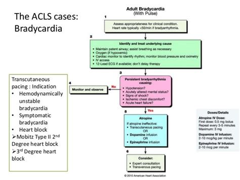 Image result for ACLS Adenosine Algorithm