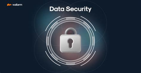 Image result for Data Security Examples