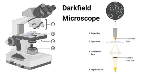 Image result for Dark Field Microscope with Software