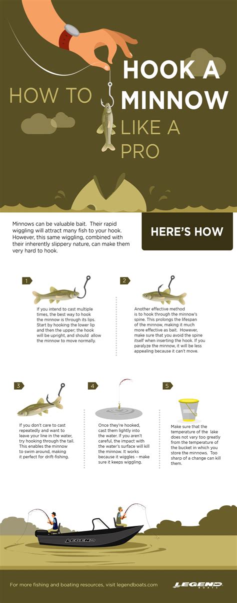 Image result for How to Use Minnows for Catfish Bait