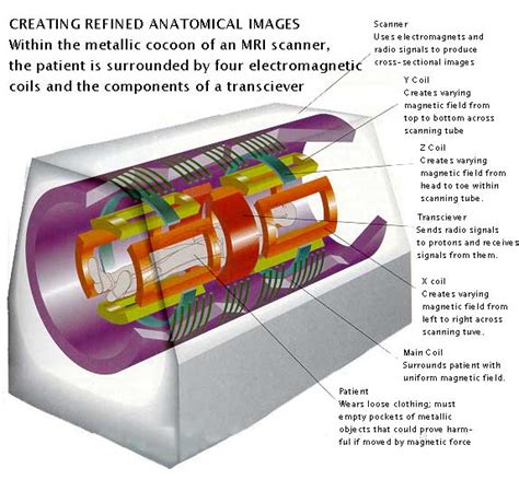 Image result for How Does MRI Work