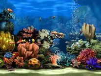 Image result for Screensaver Live Fish Aq