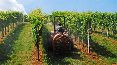 Image result for Edge Impulse Vineyard Irrigation