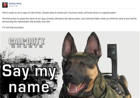 Cod Dog Owner Names に対する画像結果