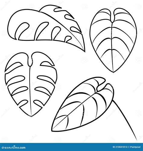 Afbeeldingsresultaten voor Black and White Leaf Icon Outline