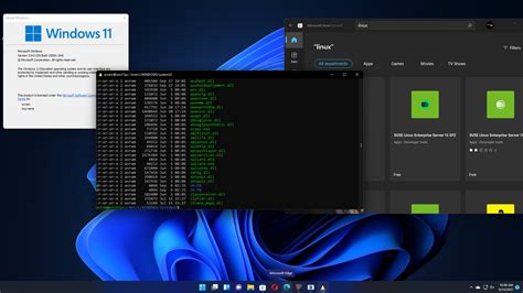 Image result for Linux Window Styles