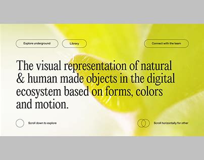 Image result for Website Navigation Flowchart