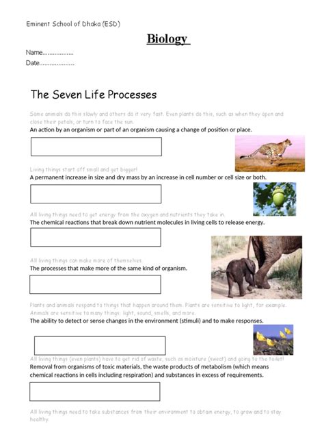 Image result for Movement Life Process Worksheet