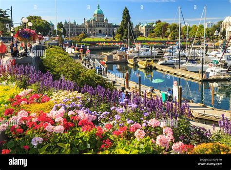 Victoria Cap 76 に対する画像結果