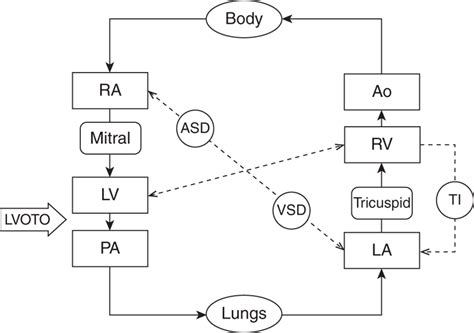 Afbeeldingsresultaten voor Corrected Transposition