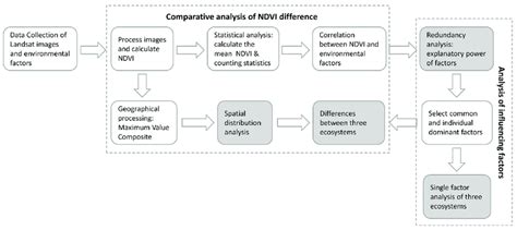 Research Workflow Example に対する画像結果