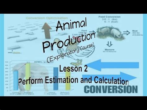 Perform Estimation and Calculation എന്നതിനുള്ള ഇമേജ് ഫലം