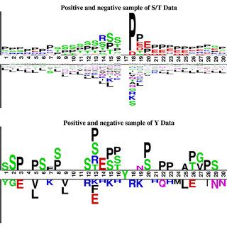 Image result for Sample Collection Positive/Negative