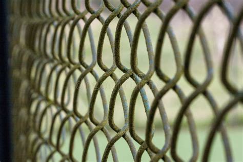 Chain Link Repeating Line Pattern ପାଇଁ ପ୍ରତିଛବି ଫଳାଫଳ