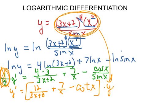 Logarithmic Differentiation に対する画像結果