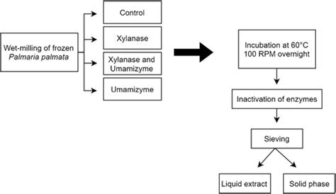 Extraction Flow Chart に対する画像結果