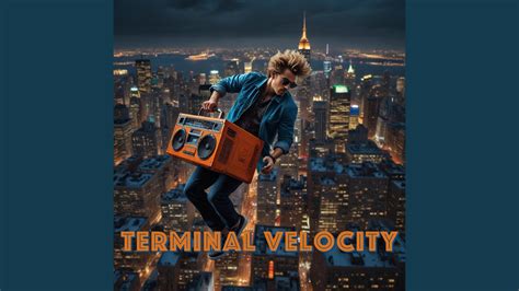 Terminal Velocity Displacement Time Graph に対する画像結果