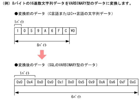 Image result for Varbinary Data Type