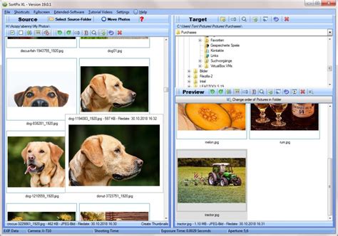 Image result for Photo-Sort