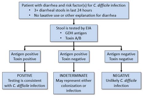 Image result for C. Diff Testing