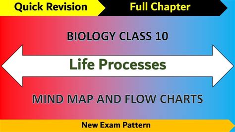 Image result for Life Processes Class 10 Flow Chart