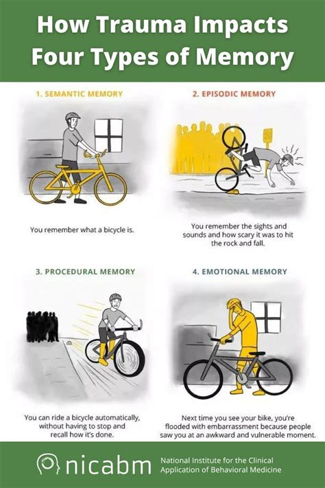 Image result for Working Memory vs Episodic Memory
