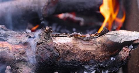 Image result for Fire Log Cooking