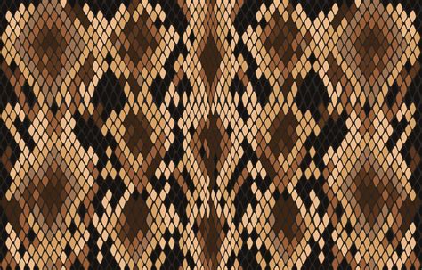 Image result for Python Skin Pattern