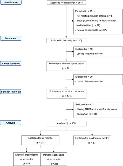 Toradh íomhá ar Gestational Diabetes Work Flow Chart
