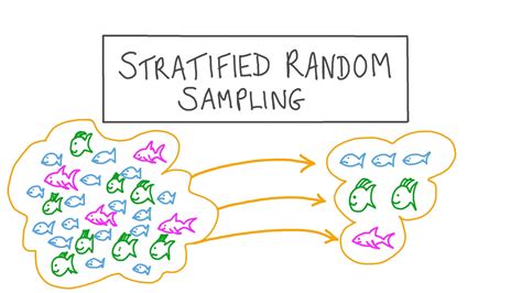 Stratified Sampling Auditing に対する画像結果
