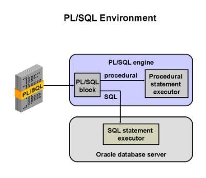 Image result for Oracle PL/SQL Server Interface